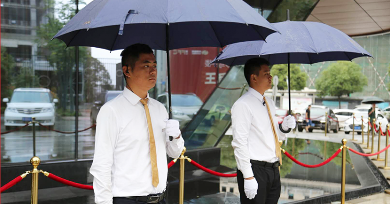 91视频直播下载