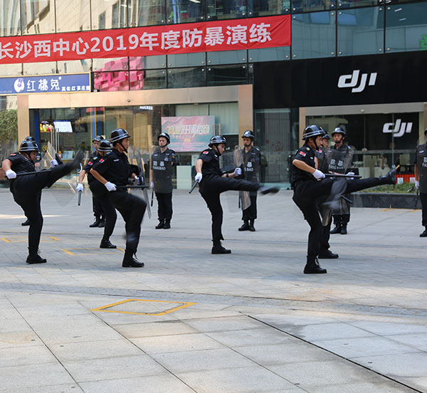 91视频直播下载