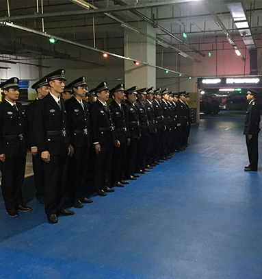 91视频下载官网