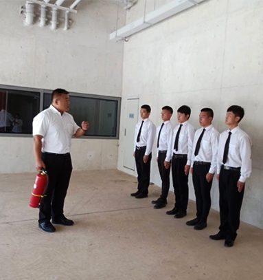 91视频直播下载