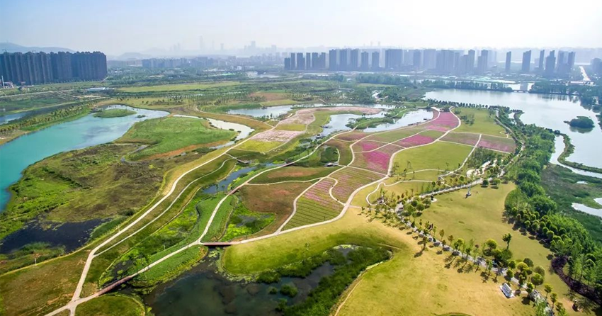 1621501160506165.png 200.png