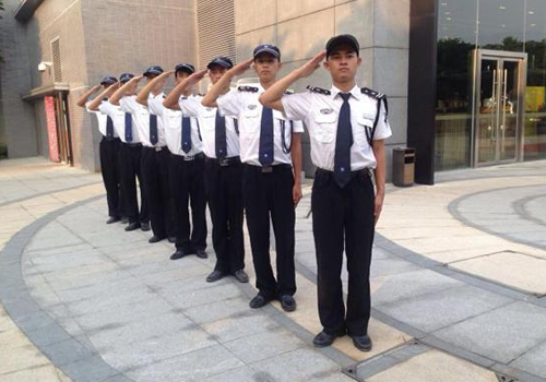 91视频下载官网